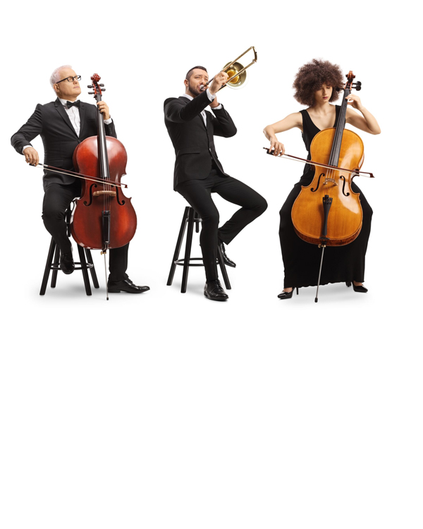 Canlı Müzik & Orkestra